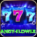 andy flower Game Deluxe v3.1.2