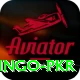 Bingo PKR VIP v1.6.1