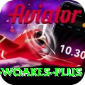 chris woakes Premium v2.5.2