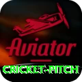 cricket pitch Pro Rewards