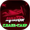 grass carp - Gaming Extreme