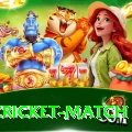 india cricket match Max Latest v4.0.5