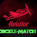 india newzealand cricket match Game Mega v1.2.9