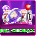 live cricket streaming cricbuzz - Slots King