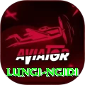 lungi ngidi - Pro v4.8.2