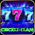 mumbai cricket team Pakistan Royal v2.2.5