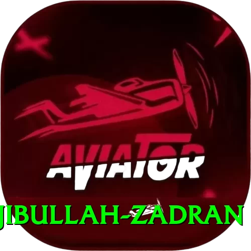 najibullah zadran Pakistan Royal v2.0.9 - 2