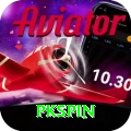 pkspin App Gold v5.3.1
