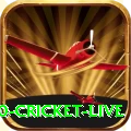 t20 cricket live Premium Slots
