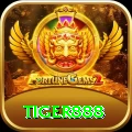 tiger888 Legend Casino App