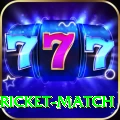 to day cricket match - Turbo Edition v1.6.5