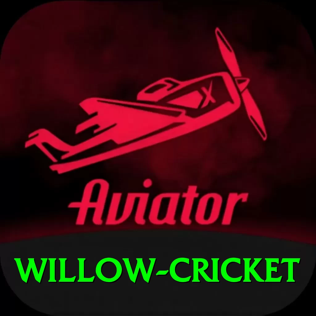 willow cricket Super Jackpot - 2